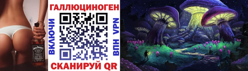Купить  Курчатов  Псилоцибиновые грибы GOLDEN TEACHER 